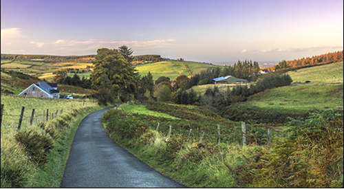 rural scene